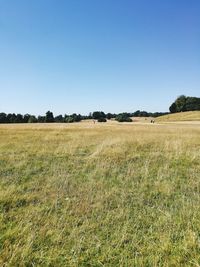 Scenic view of field against clear blue sky