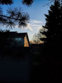 Buildings with trees in background