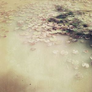 Full frame shot of white background