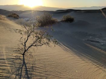 Scenic view of sand dune against sky during sunset