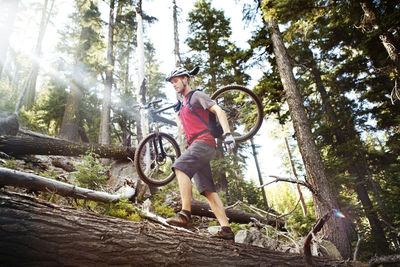 Low angle view of man carrying mountain bike and walking on log in forest