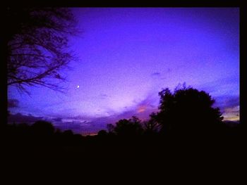 Silhouette of trees at sunset