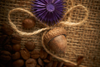 Close-up of purple flowering plant in basket