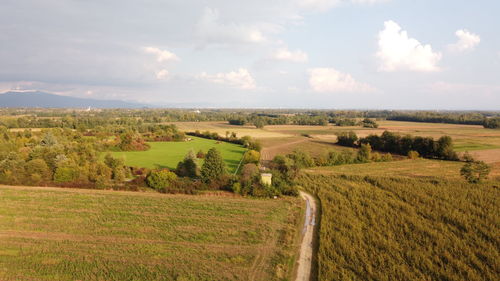 Scenic view of agricultural field against sky