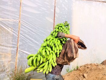 Vendor carrying bananas for sale