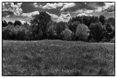 Scenic view of field against sky