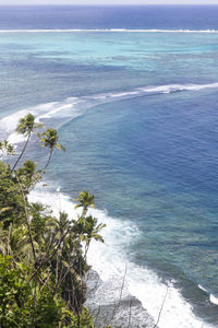 High angle view of fringing reef and shoreline with palm trees