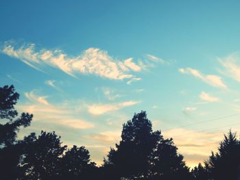 Low angle view of trees against blue sky