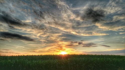 Scenic view of field against sky at sunset