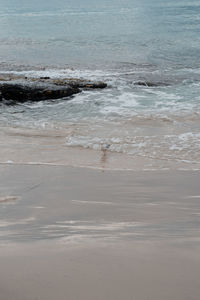 Scenic view of beach