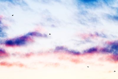 Low angle view of silhouette airplane flying against sky