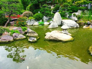 View of stream in park