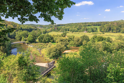 Scenic view of river amidst trees against sky