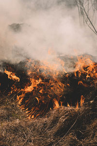 Close-up of bonfire