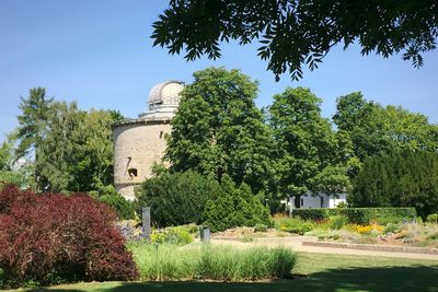 Trees growing in park