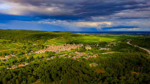 Scenic view of agricultural field against sky