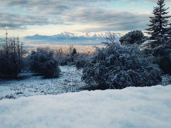 Scenic view of snow covered field against sky