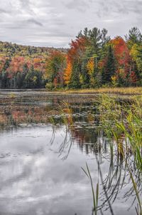 Scenic view of lake against sky during autumn