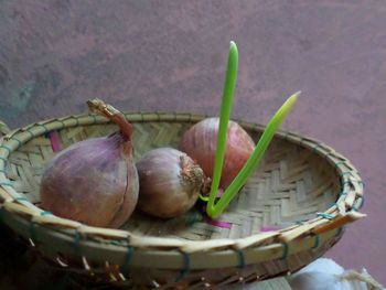 High angle view of vegetables in basket