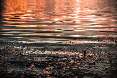 Scenic view of sea during sunset