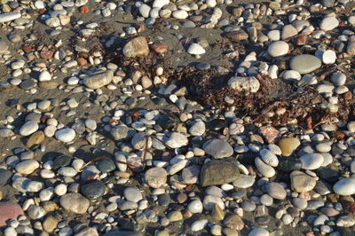 Full frame shot of pebbles on beach