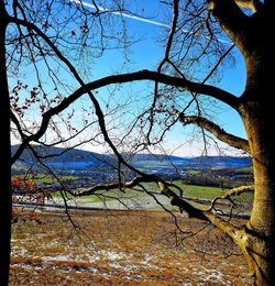 Bare tree by lake against sky