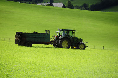 Soil fertilization by manure from animals in farming and livestock breeding