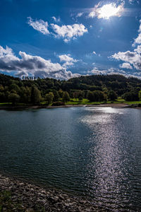 Scenic view of lake by trees against sky