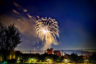 Low angle view of firework display against sky at night