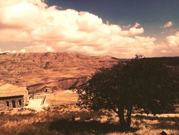 Scenic view of field and houses against cloudy sky