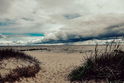 Scenic view of beach against sky