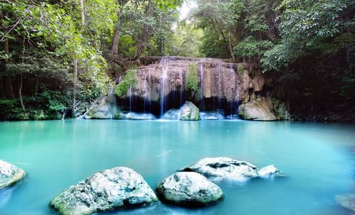 Scenic view of waterfall in forest