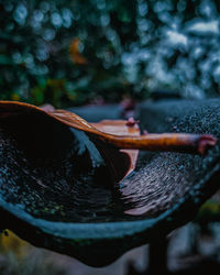 Close-up of water drop on leaf