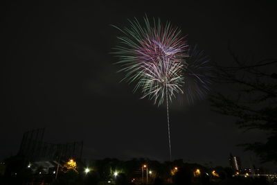 Low angle view of firework display at night