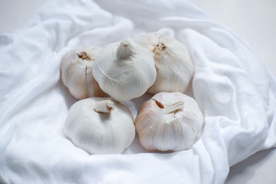 High angle view of garlic on white table