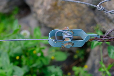 Close-up of clothespins on clothesline