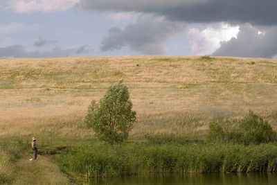 Scenic view of field against sky