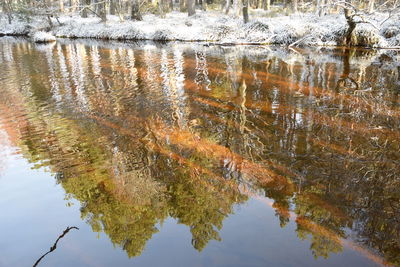 Reflection of tree in lake against sky