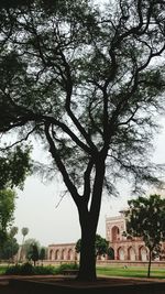 Bare trees and buildings against sky