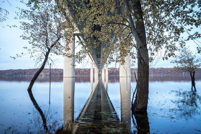 Bare trees by river against sky