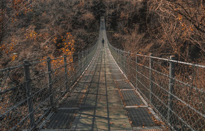 View of bridge in forest