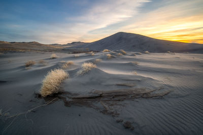 Desolate sand dune in idaho