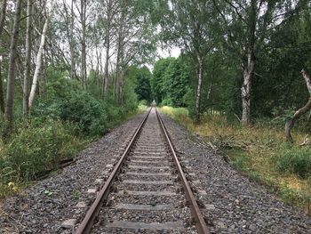 Railroad tracks in forest