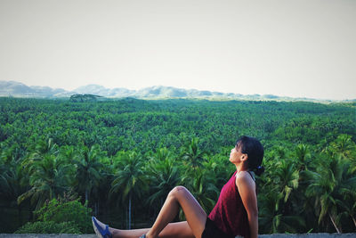 Bulk of coconut tree field  at siargao