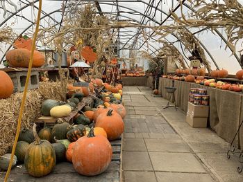 Pumpkins for sale at market stall