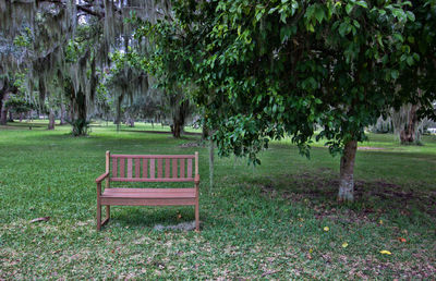 Empty bench in park