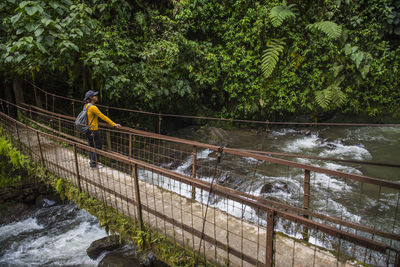 Woman hiking over a simple bridge at the rainforest in mindo, ecuador