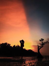 Silhouette man standing by tree against sky during sunset