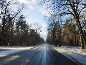 Road amidst trees against sky during winter