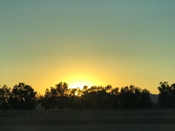 Silhouette trees on landscape against clear sky at sunset